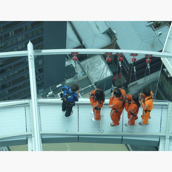 Auckland Skywalk fall arrest system for public visitors